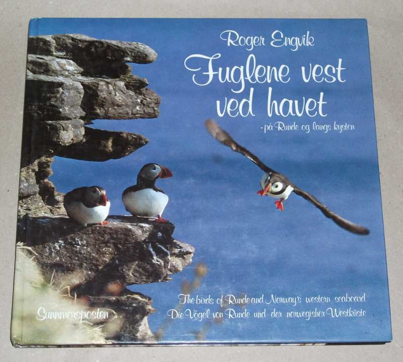 Engvik, Fuglene vest ved havet pa Runde og langs kysten