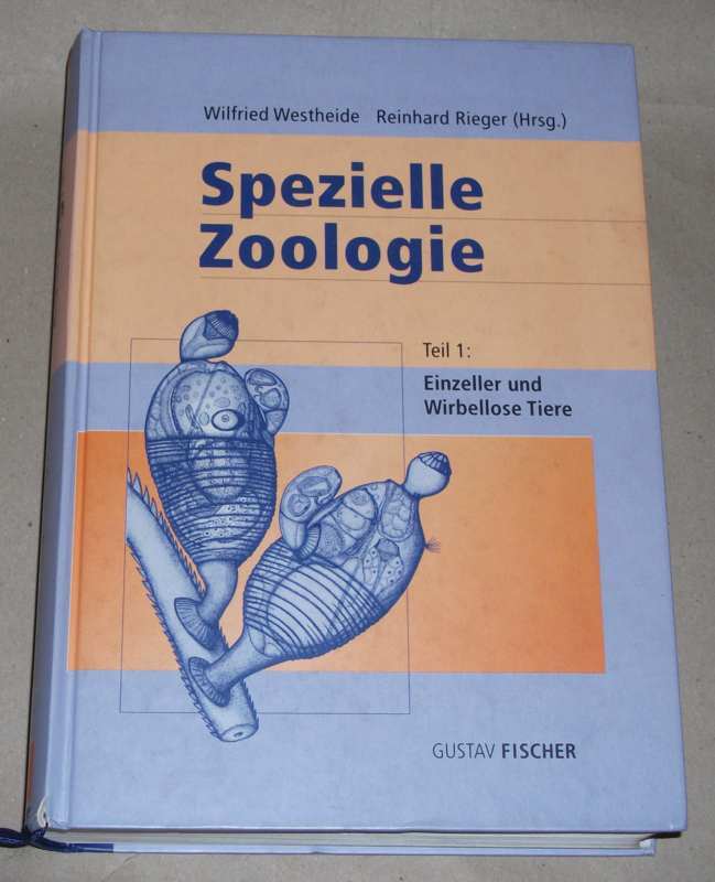 Dohle, Spezielle Zoologie Teil 1: Einzeller und Wirbellose Tiere