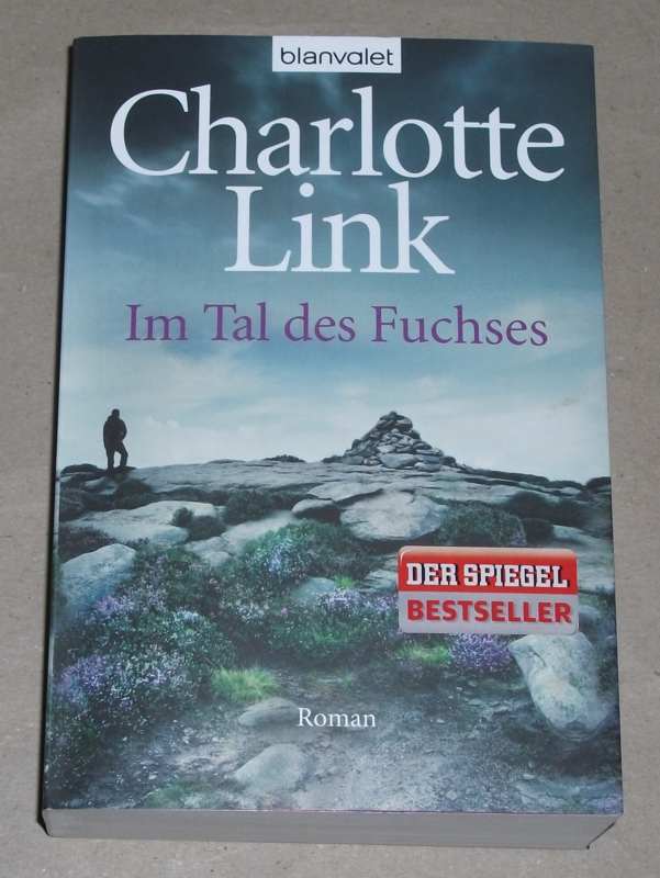 Link, Im Tal des Fuchses