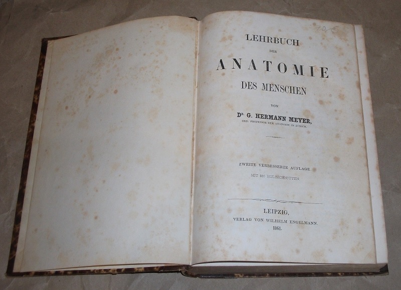 Meyer, Lehrbuch der Anatomie des Menschen