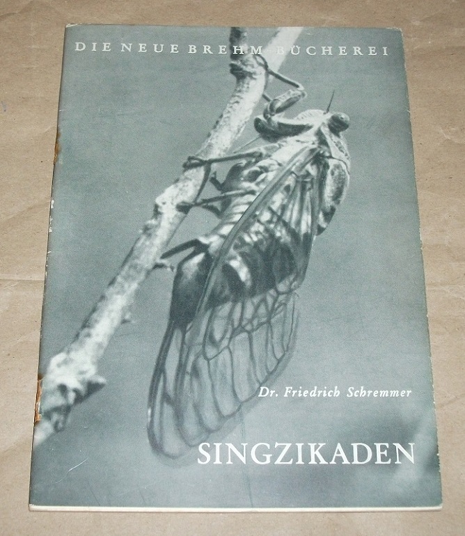 Schremmer, Singzikaden.