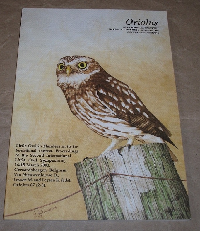 Little Owl in Flanders in its international context.