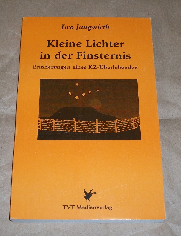 Jungwirth, Kleine Lichter in der Finsternis.