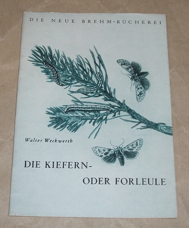 Weckwerth, Die Kiefern- oder Forleule.
