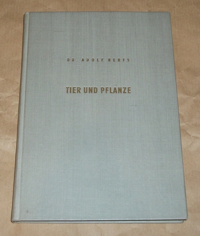 Herfs, Tier und Pflanze.