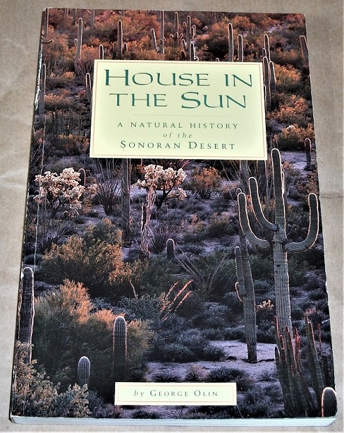 Olin, House in the sun.