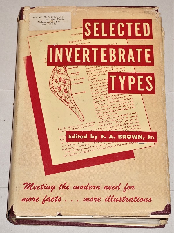 Brown, Selected invertebrate types.
