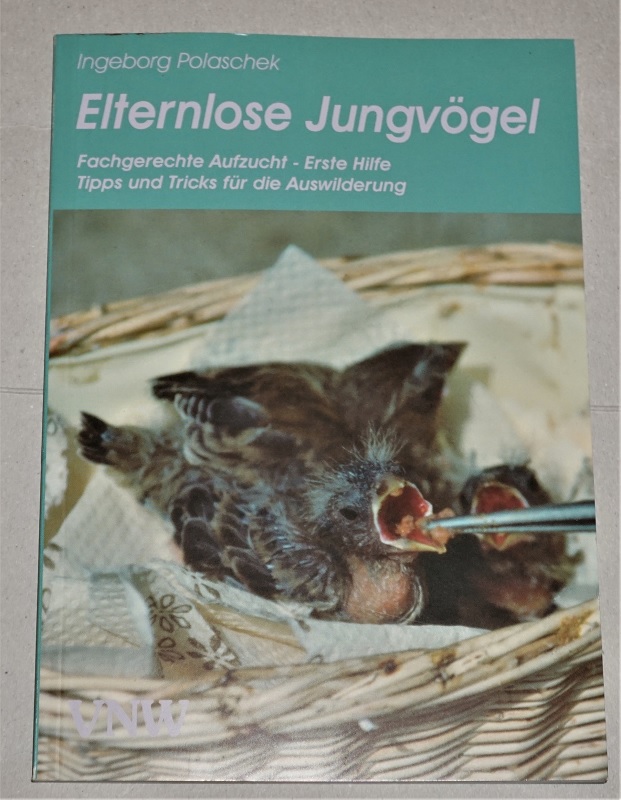 Polaschek, Elternlose Jungvögel.