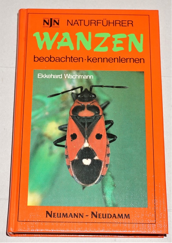 Wachmann, Wanzen beobachten - kennenlernen.