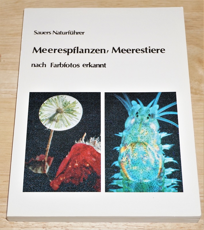 Sauer, Meerespflanzen, Meerestiere nach Farbfotos erkannt.