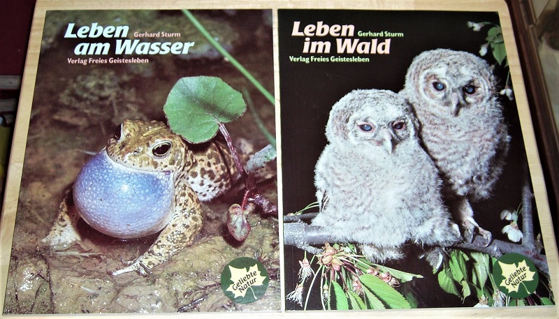 Sturm, Leben am Wasser / Leben im Wald.