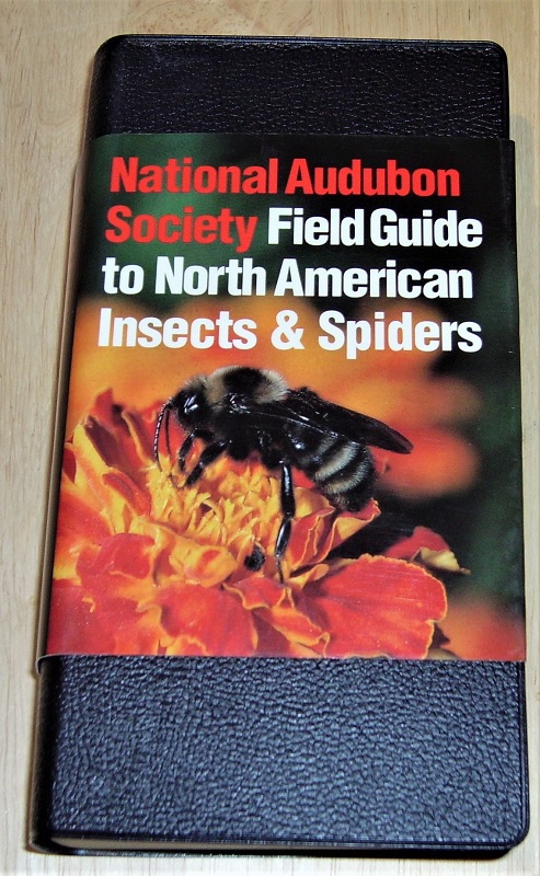 The Audubon Society field guide to North American insects and spiders.