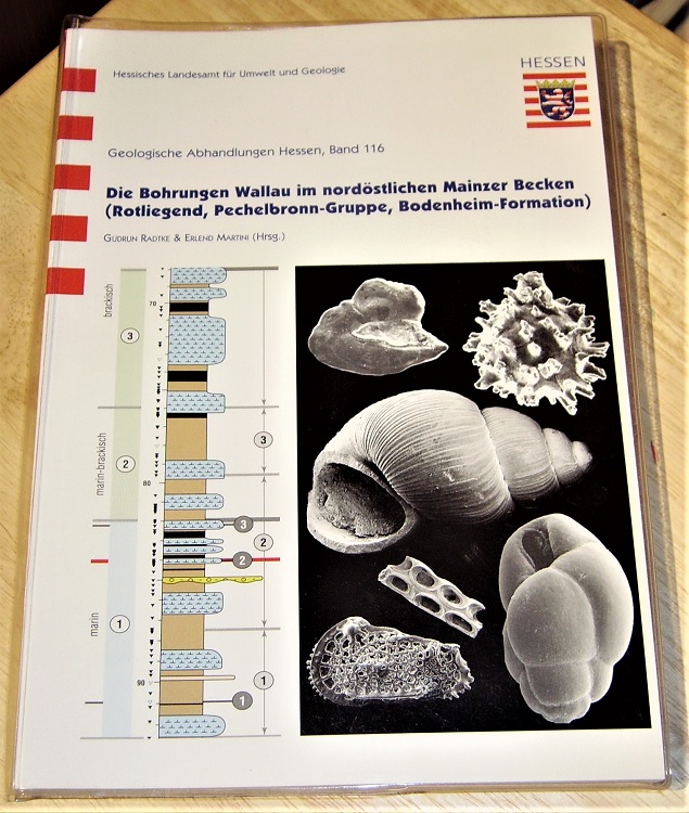 Radtke, Die Bohrungen Wallau im nordöstlichen Mainzer Becken.
