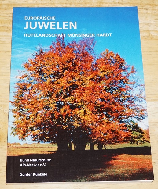 Künkele, Hutelandschaft Münsinger Hardt.