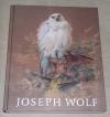 Wolf, Joseph Wolf (1820 - 1899)
