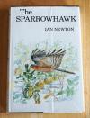 Newton, The sparrowhawk.