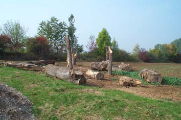 Hier wird ein kleiner Auwald entstehen.