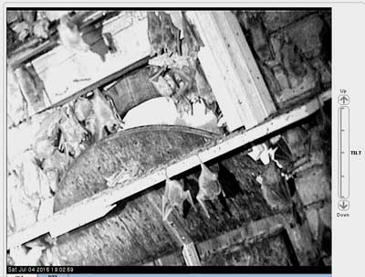 Aufnahme mit der Kamera am Ausflug