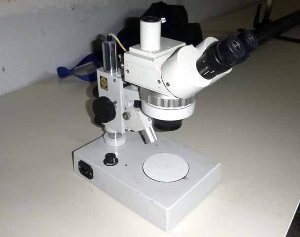 Stereolupe f�r den Mausohr-Bahnhof