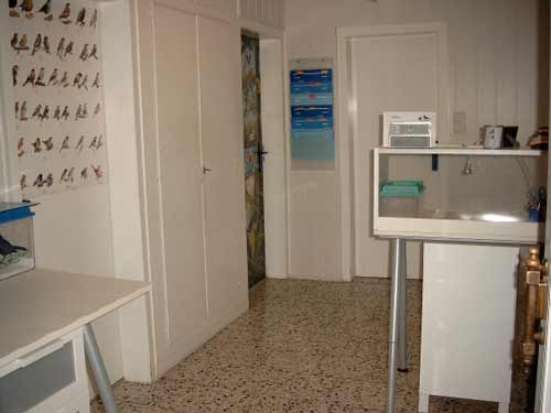 Der neu gestaltete Eingangsbereich