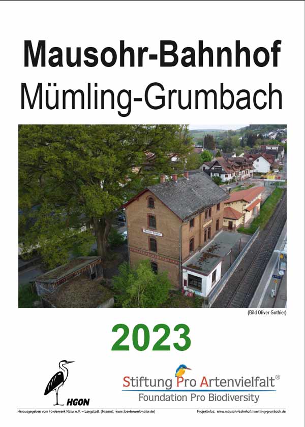 Kalender Mausohr-Bahnhof (D. Diehl)