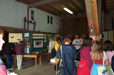 Fledermaus-Ausstellung im Gruberhof am 28.8.2004