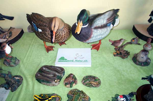 Artfauna-V�gel bei Veranstaltung